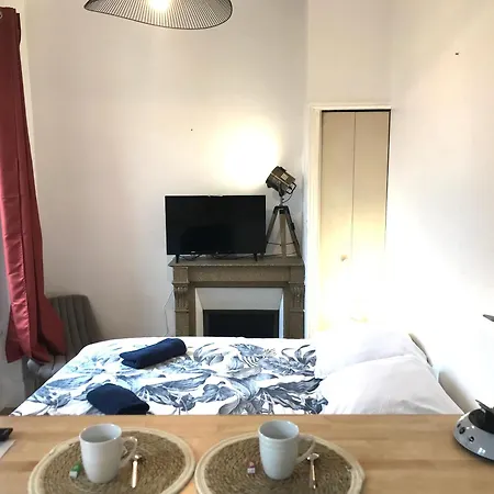 شقة Le Castel Lily - Calme - Face Aux Parcs - Immeuble De Caractere فيشي
